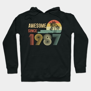 35 Years Old Awesome Since 1987 Gifts 35th Birthday Gift Hoodie